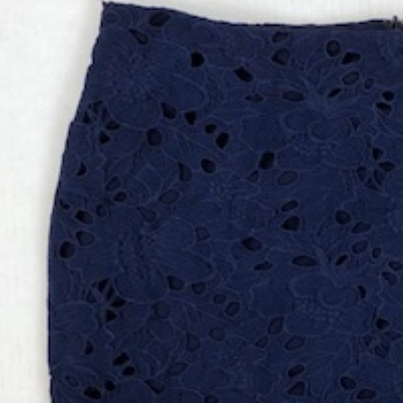 Banana Republic Blue Floral Lace Mini Sz 6 - Picture 5 of 7